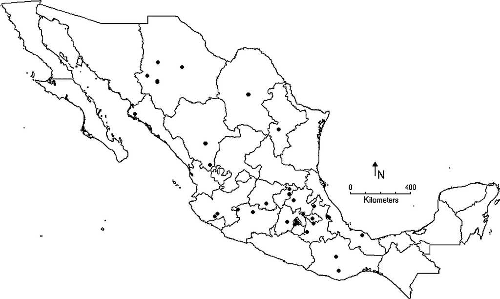 Distribuci&oacute;n de Largus convivus St&aring;l.