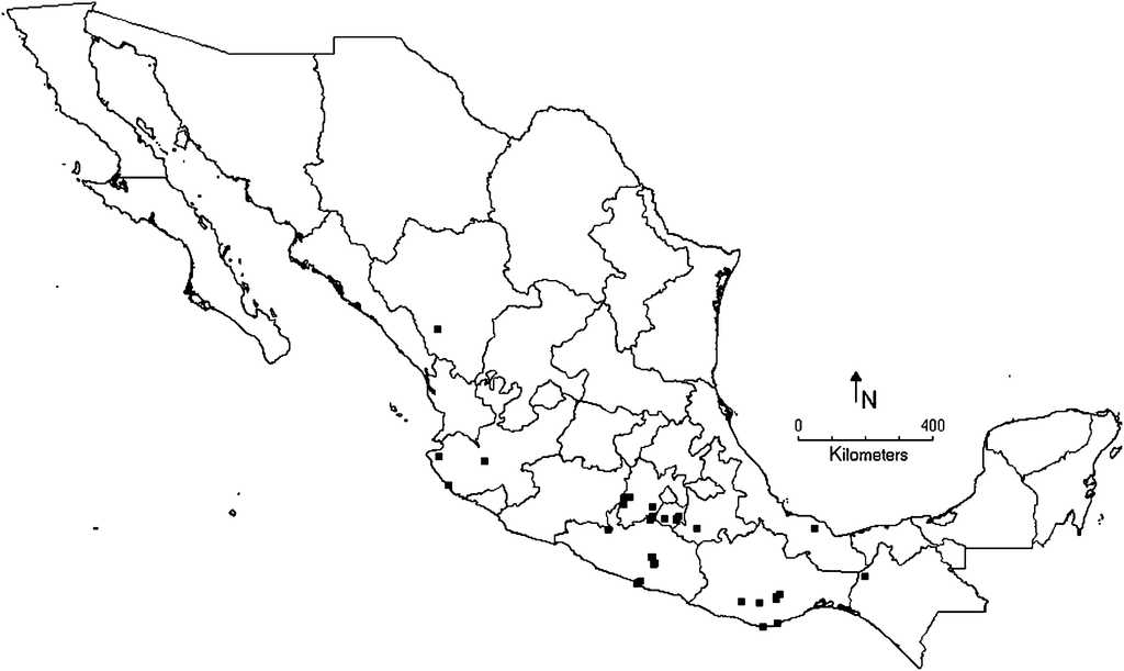 Distribuci&oacute;n de Largus subligatus Distant-Largus brunki Schmidt Nov. Sym.
