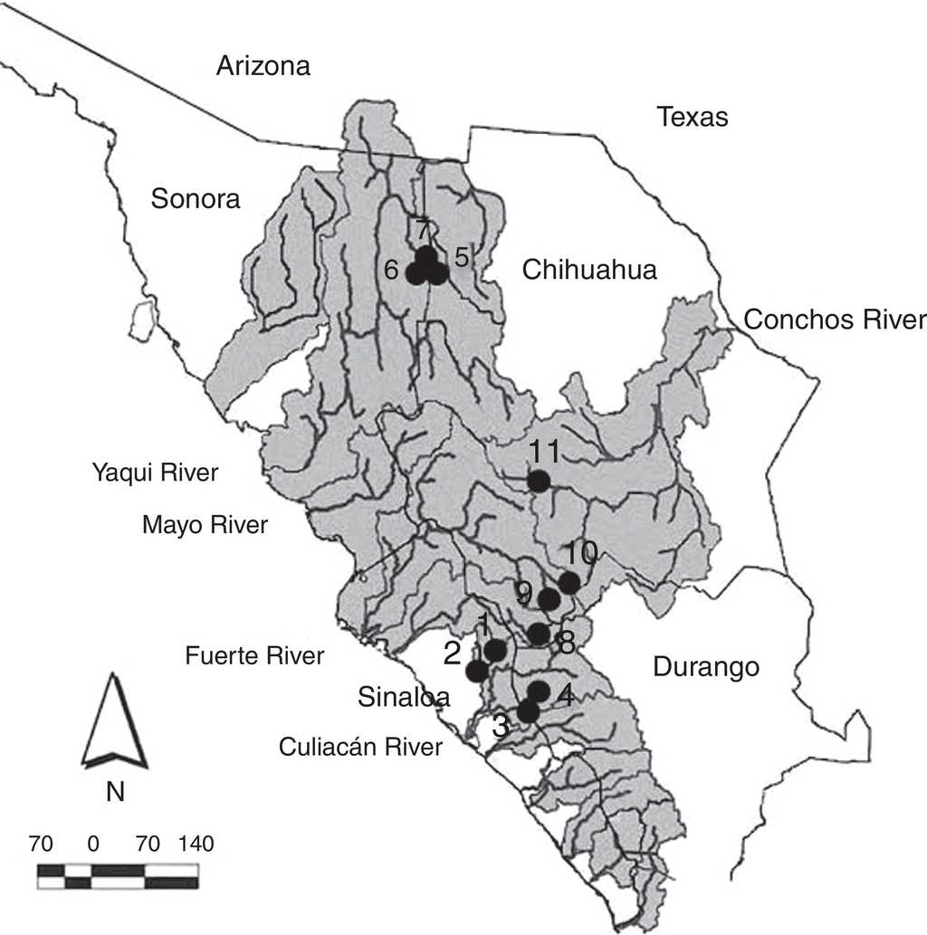 Collection sites for Catostomus sp. and C. bernardini in the Sierra Madre Occidental, Mexico. Numbers correpond to localities detailed in Appendix 1.