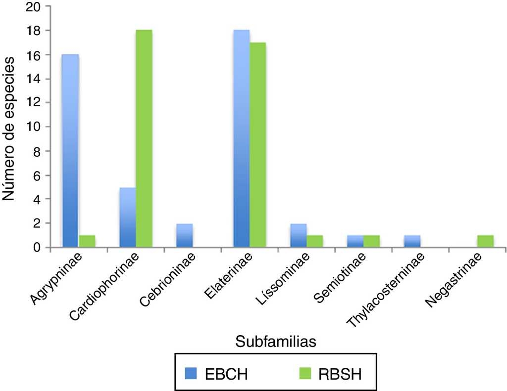Comparación de la riqueza de especies de elatéridos por subfamilia presentes en la Reserva de la Biosfera Sierra de Huautla (RBSH) y en la Estación de Biología de Chamela, Jalisco (EBCH).