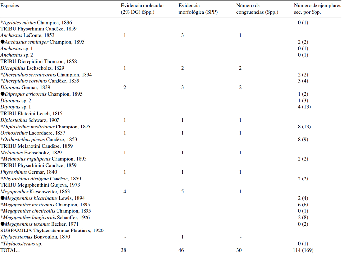 Lista de las especies de Elateridae registradas en la Estación de Biología, Chamela, Jalisco, México, de acuerdo con la clasificación taxonómica de . Bouchard et al.(2011). Incluye nuevos registros para el estado de Jalisco con un asterisco (*) y con un punto (●) los nuevos registros para México. De igual manera muestra el número de ejemplares delimitados con evidencia molecular (2% de divergencia genética) por especie, el número de ejemplares delimitados con evidencia morfológica, el número de congruencias obtenidas entre ambas especies, y el número de ejemplares de los que se obtuvieron secuencias genéticas (COI), y entre paréntesis el número total de ejemplares secuenciados por especie.