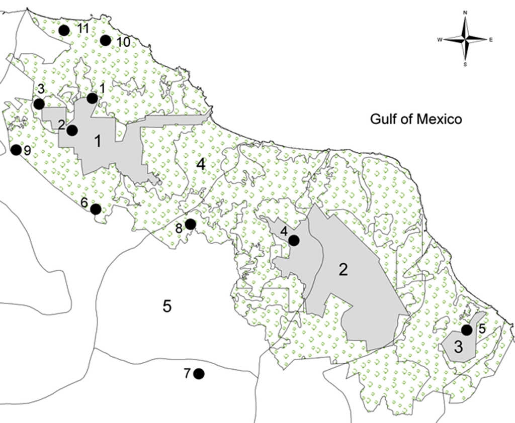 Map showing the delimitation of 11 populations of C. alternans sampled in the Biosphere Reserve Los Tuxtlas (black circles). We include the first core area the San Martín Tuxtla Volcano (1), the second core area the Santa Marta Sierra (2) and the third core area was the San Martín Pajapan Volcano (3) with grey colour. The number 4 shows the buffer zone in light green and 5 shows the Catemaco Lake.