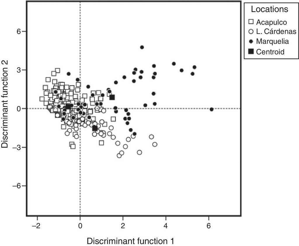 Graphic of multivariate discriminant analyses of Caranx caballus stocks, from Guerrero (Acapulco Bay, Marquelia), and Michoacán (L. Cárdenas) Mexico. Empty circle, empty square, and filler circle, represent each one of the fish examined in each locality. Centroid=mean group.