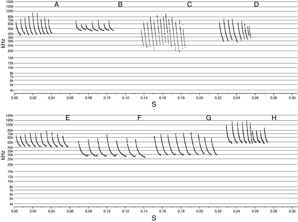 Sonogram visualizing echolocation pulses of 7 species of insectivorous bats of the Verpertilionidae family registered in Ejido Jacumé, Baja California, Mexico. (A) Myotis melanorhinus, (B) Parastrellus hesperus, (C) Corynorhinus townsendii, (D) Antrozous pallidus, (E) Lasiurus blossevilli, (F) Lasiurus xanthinus, (G) Eptesicus fuscus, and (H) Myotis californicus. kHz: kilohertz, s: seconds.