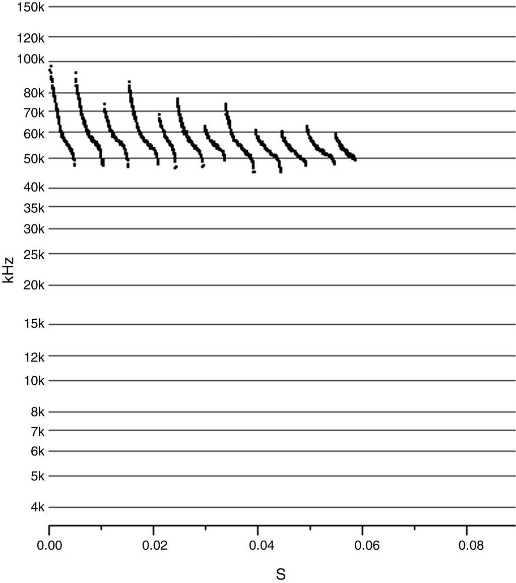 Sonogram visualizing echolocation pulses of Macrotus californicus (Molossidae family) registered in the Ejido Jacumé, Baja California, Mexico. kHz: kilohertz, s: seconds.