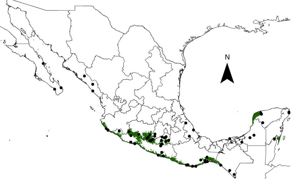 Localidades y distribución potencial del cultivo de Moringa oleifera en México. Los puntos negros indican las 67 localidades donde se ha documentado M. oleifera como parte de la horticultura tradicional. Con base en estas localidades y en el modelo de MaxEnt, las zonas sombreadas corresponden a las zonas con alta probabilidad de tener clima ideal para el cultivo de la moringa, sugerido con base en seleccionar los pixeles o cuadros con valores de probabilidad iguales o mayores al 50%.