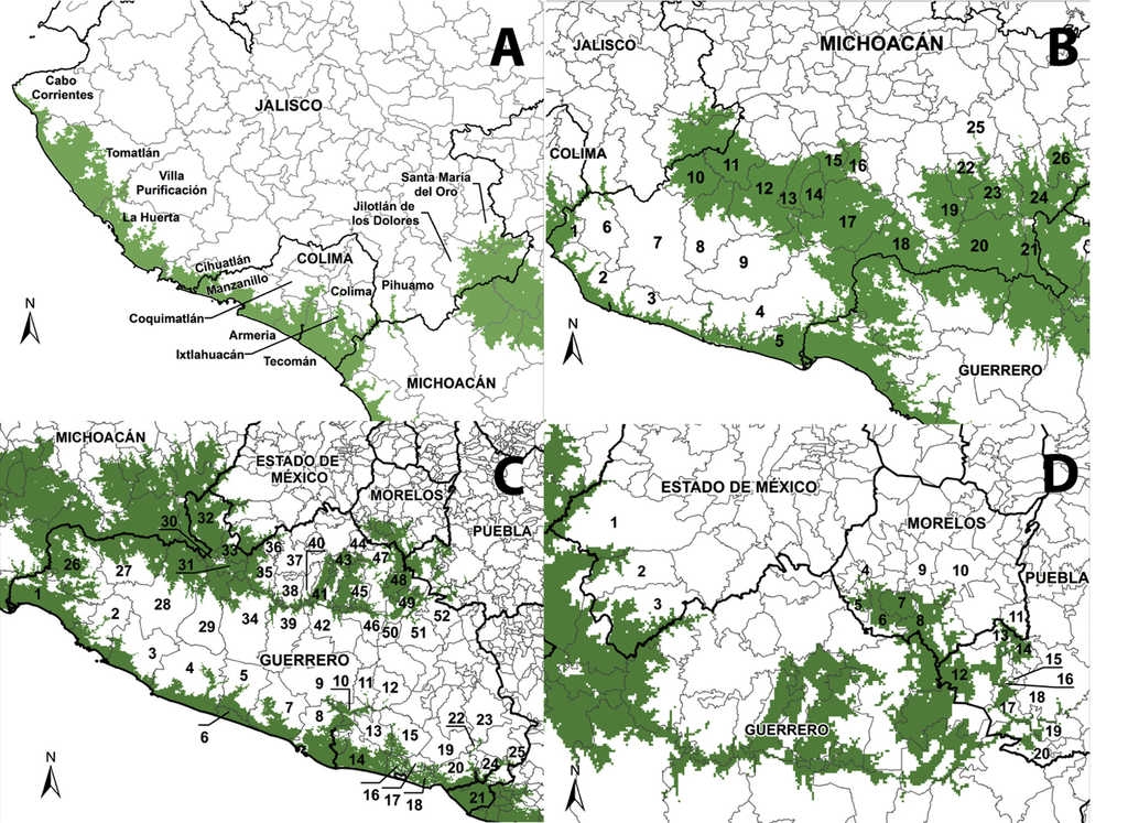 Distribución potencial de Moringa oleifera en la depresión del río Balsas y zonas adyacentes. A, Jalisco y Colima. B, Michoacán. C, Guerrero. D, Franjas norte y orientales de la depresión del Balsas en el Estado de México, Morelos y Puebla. Los nombres que corresponden a los municipios designados con un número se encuentran en el anexo 1.