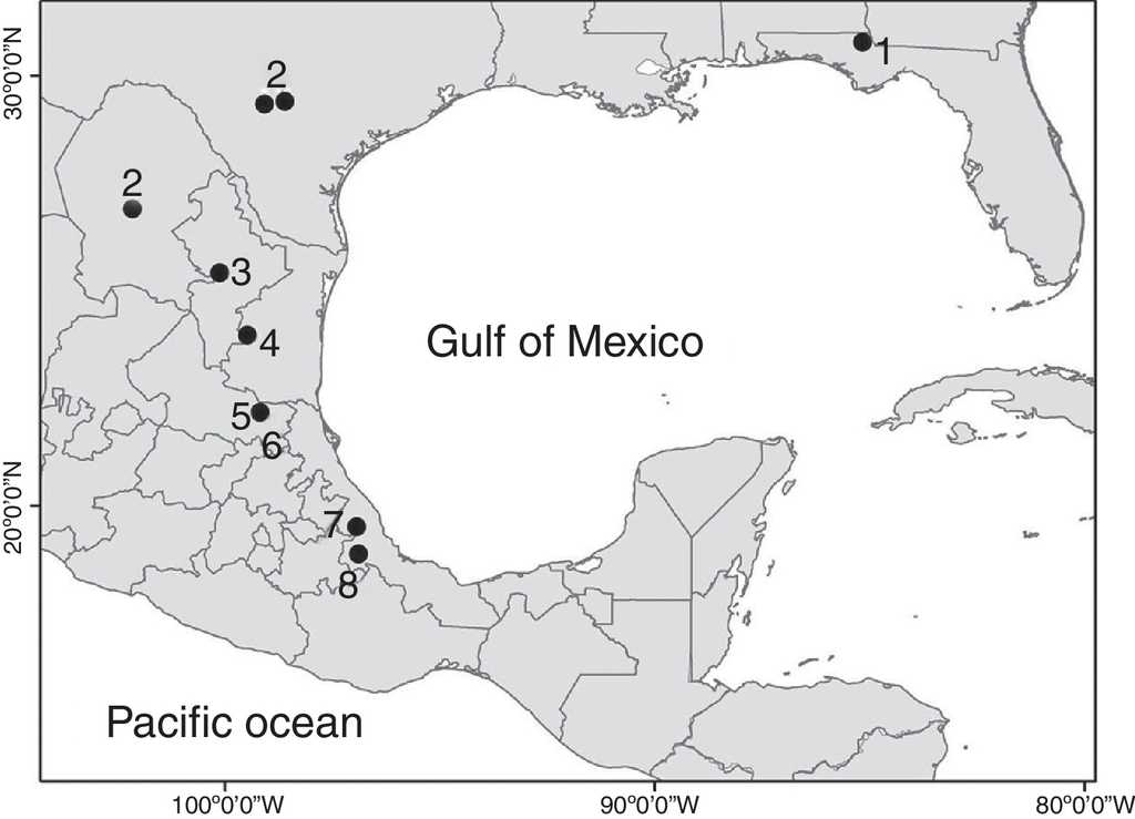 Distribution of the species of Mexistenasellus in Mexico and the United States: (1) M. floridensis; (2) M. coahuila; (3) M. nulemex; (4) M. colei; (5) M. parzefalli; (6) M. wilkensi; (7) M. atotonoztok; (8) M. magniezi.