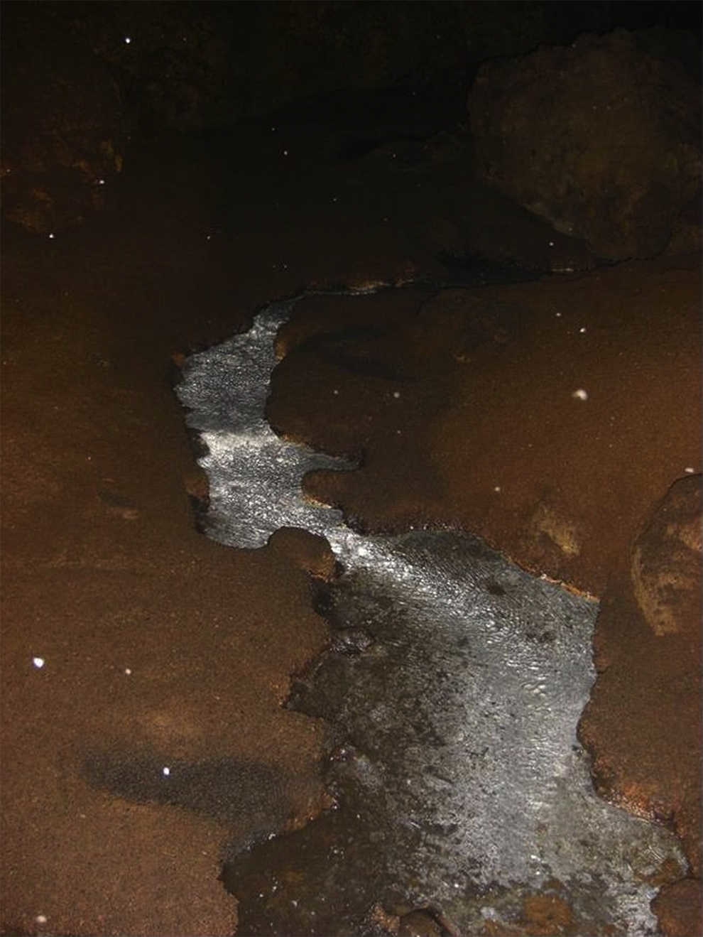 Cerro Colorado Cave, Apazapan, Veracruz, Mexico: view of the cave interior with the hydrothermal current running among mounds of bat guano.