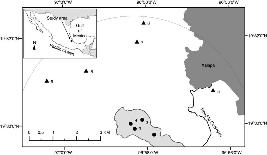 The inset shows the location of the study area in central Veracruz, Mexico. The shaded area where sites 1-4 are shown corresponds to limestone rock outcrop from the Miocene (Inegi, 2010, Geological-Mining maps, Coatepec E14-B37 and Xalapa E14-B27, scale 1:50,000 and Google Earth Image). Sites 5-9 are on volcanic substrate from the Quaternary. The gray part in the upper right corresponds to the urban area of Xalapa.