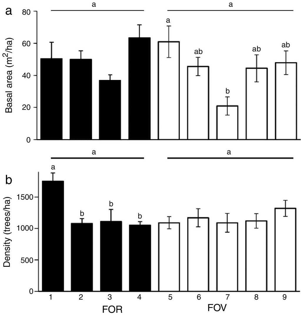 (a) Basal area (m2/ha), and (b) density (trees/ha) of trees ≥5cm dbh of tropical montane cloud forest on rock outcrop (FOR) and volcanic soil (FOV) in central Veracruz, Mexico. Horizontal lines indicate no significant differences between FOR and FOV. Differences between sites nested within a substrate group are indicated with superscripts. Data are mean and ±1 SE. Sites within a group with a different letter are significantly different at alpha=0.05.