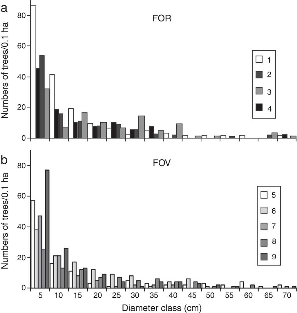 Distribution of stem diameters in tropical montane cloud forest on (a) rock outcrop (FOR) and (b) volcanic soil (FOV) in central Veracruz, Mexico. The lower limit of each diameter class is given.