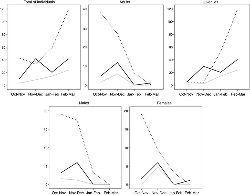 Average of relative abundance (individuals/hectare) of Sceloporus utiformis lizard during the seasonal transition by reproductive condition. Continuous black line: Chamela tropical dry forest; pointed black line: Manantlán tropical dry forest; continuous gray line: Chamela arroyo vegetation.