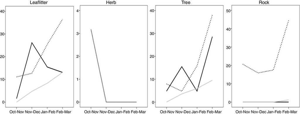 Relative abundance (individuals/hectare) of Sceloporus utiformis lizards in several microhabitats during seasonal transition. Continuous black line: Chamela tropical dry forest; pointed black line: Manantlán tropical dry forest; continuous gray line: Chamela arroyo vegetation.