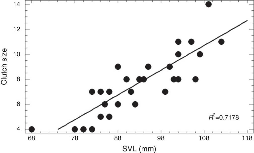 Relationship between clutch size and snout vent length (SVL) in the lizard Aspidoscelis costata costata from Tonatico, Estado de México, Mexico.