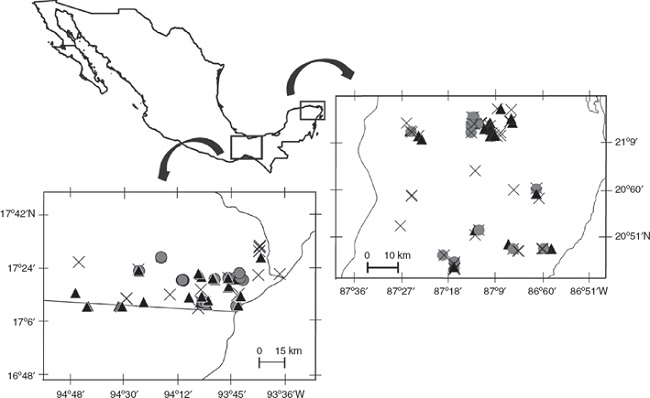 Study sites. 1, Uxpanapa valley (tropical rainforest); 2, northeastern Yucatán Peninsula (semi-deciduous tropical forest). Black triangles = jaguar samples, gray circles = puma samples, crosses = unidentified large felid samples.
