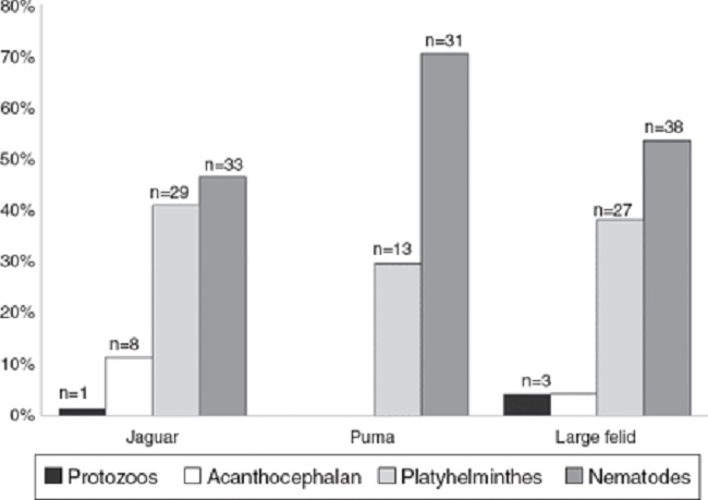 Prevalence of the parasitic phyla found in fecal samples of free-ranging jaguar and puma inhabiting tropical forests in southeastern Mexico.