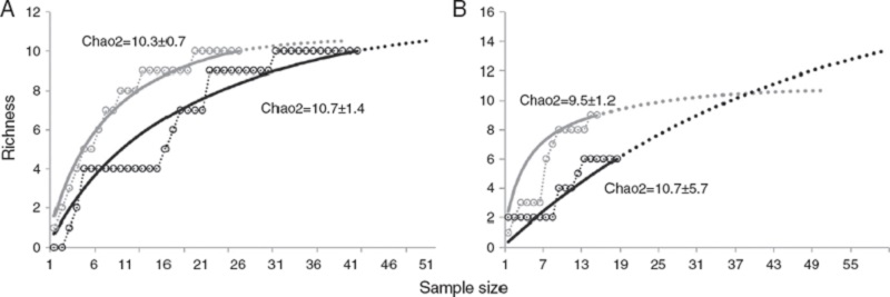 Parasite species richness for jaguar and puma in southeastern Mexico. A, Jaguar; B, puma. Tropical rainforest = black; semi-deciduous tropical forest = gray. Species accumulation curves (open circles); randomized curves (solid lines); extrapolation of accumulation curves (dotted lines).