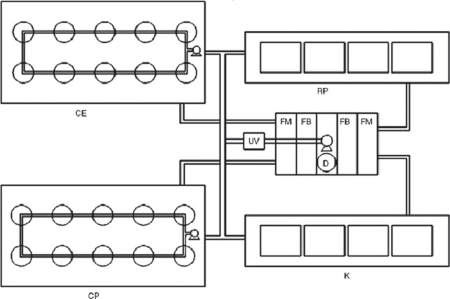 Diagrama general de los sistemas de cultivo larvario. CE: cil&iacute;ndrico con fondo esf&eacute;rico; CP: cil&iacute;ndrico con fondo plano; D: desproteinizador; FB: filtro biol&oacute;gico; FM: filtro mec&aacute;nico; K: tipo &laquo;Kreisel&raquo;; RP: rectangular con fondo plano; UV: filtro UV.