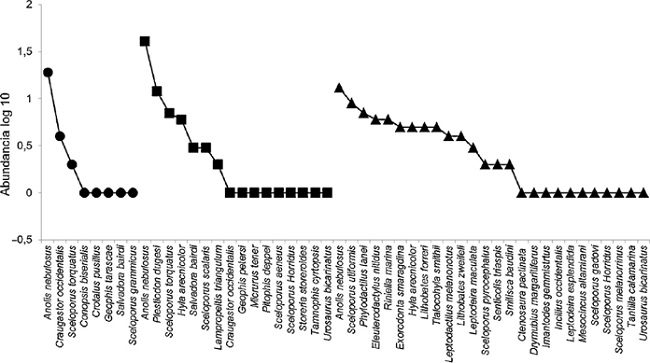 Gráfica de rango y abundancia de la herpetofauna de los 3 principales hábitats del municipio de Uruapan. Bosque de coníferas, círculos; huertas de aguacate, cuadros; bosque tropical caducifolio, triángulos.