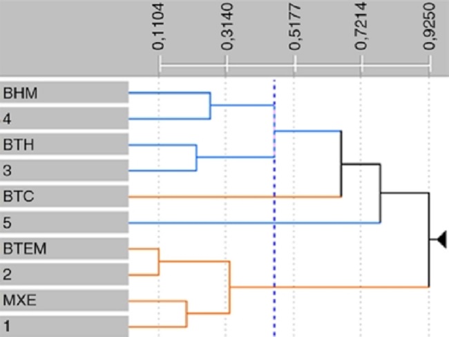 Similitud flor&iacute;stica entre las regiones clim&aacute;ticas y los biomas registrados en la Sierra Madre Oriental.