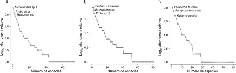 Curvas de rango abundancia en 3 bosques secundarios de Chiapas: a) Cerrito, b) El Encuentro y c) Huitepec.