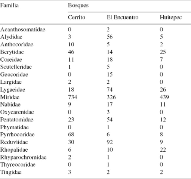 Número de individuos de heterópteros por familia colectados en 3 bosques secundarios de pino-encino en Chiapas, México.