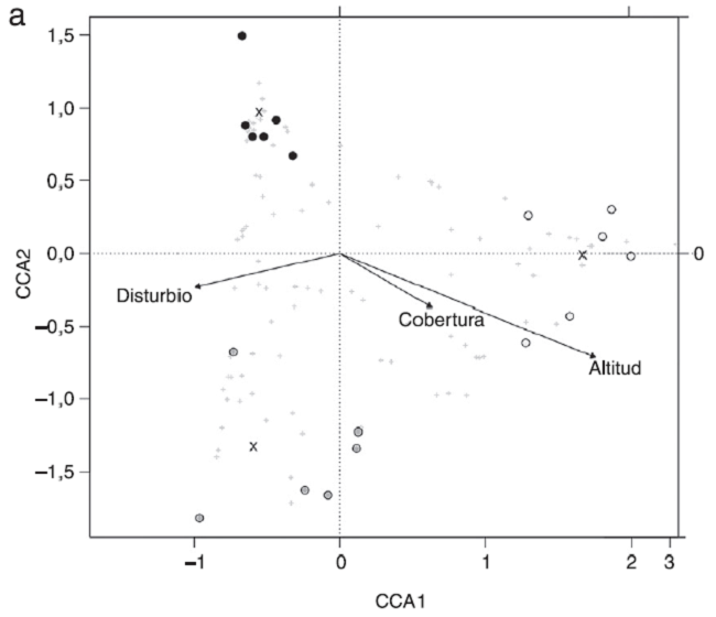 Análisis de correspondencia canónica (ACC) entre: a) la diversidad de heterópteros, b) tamaño corporal, c) grupos tróficos y las condiciones de altitud, cobertura y alteración de 3 bosques secundarios de Chiapas, México. En las figuras a, b y c, los transectos se indican con círculos y los centroides de cada bosque se indican con su nombre (Cerrito, El Encuentro o Huitepec); las variables ambientales se indican con vectores. En la figura a las especies se indican con el símbolo +.