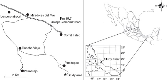 Location of the study area in central Veracruz, Mexico.