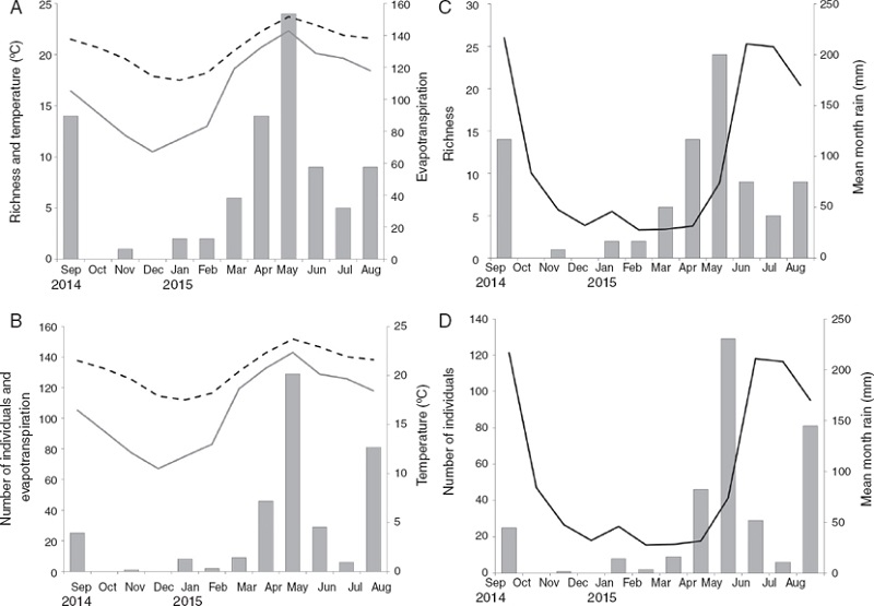 (A) Specific richness and (B) numbers of individuals of Saturniidae captured per month compared with mean monthly temperature (dash line) and evapotranspiration (solid line). (C) Specific richness and (D) number of individuals of Saturniidae captured per month compared with mean monthly rainfall.