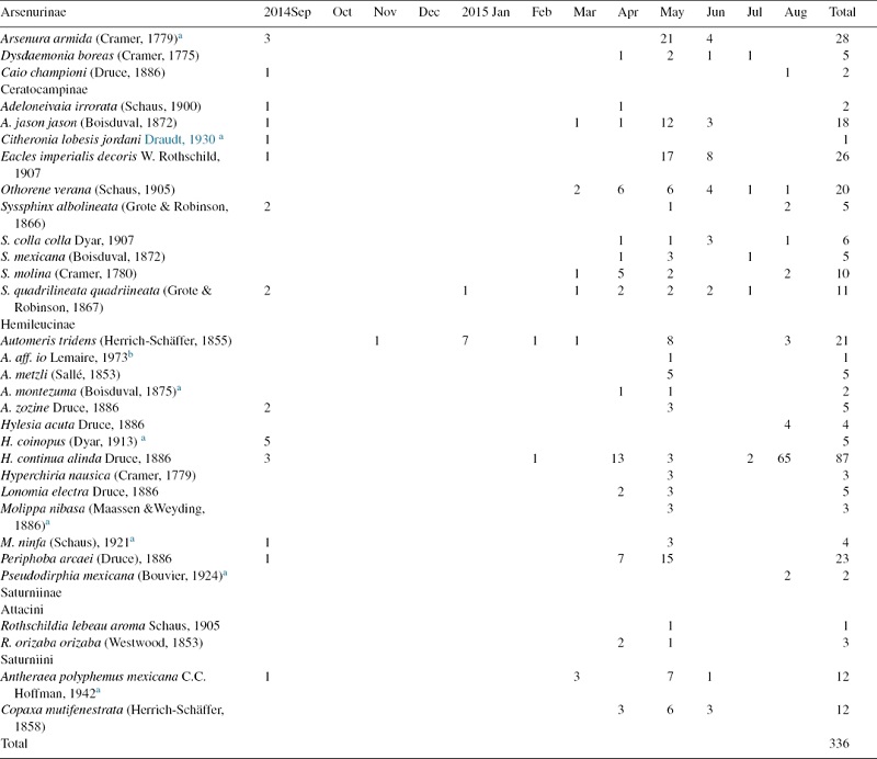 Saturniidae species collected throughout the year in tropical semi-deciduous forest in central Veracruz, Mexico, classified by subfamilies and tribes, with months in which each species was collected and numbers of individuals.