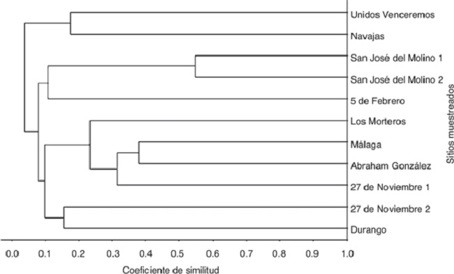 Dendrograma de similitud florística entre comunidades de plantas de
humedales.