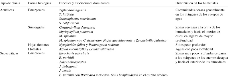 Especies y asociaciones dominantes en los humedales.