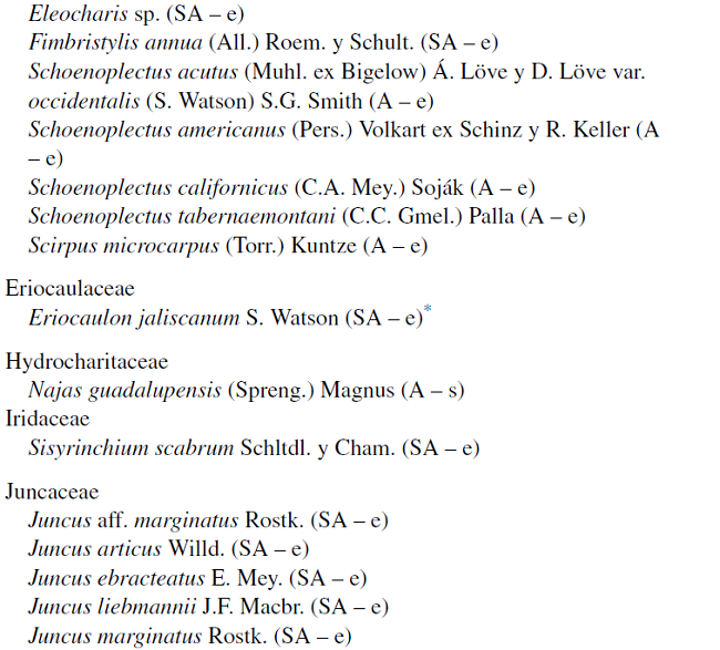 Lista florística de plantas de humedales del municipio de Durango, Durango, México.