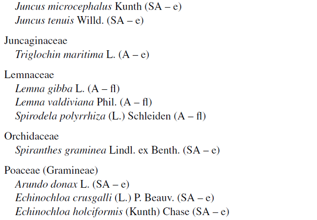 Lista florística de plantas de humedales del municipio de Durango, Durango, México.