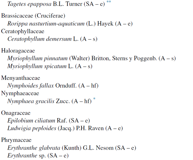 Lista florística de plantas de humedales del municipio de Durango, Durango, México.