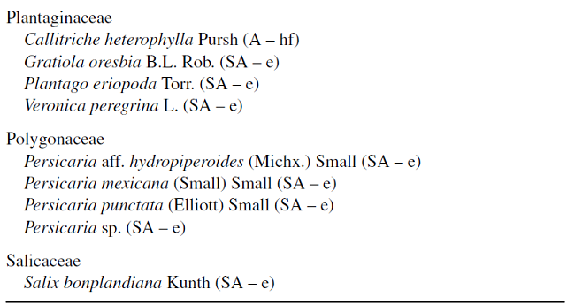 Lista florística de plantas de humedales del municipio de Durango, Durango, México.