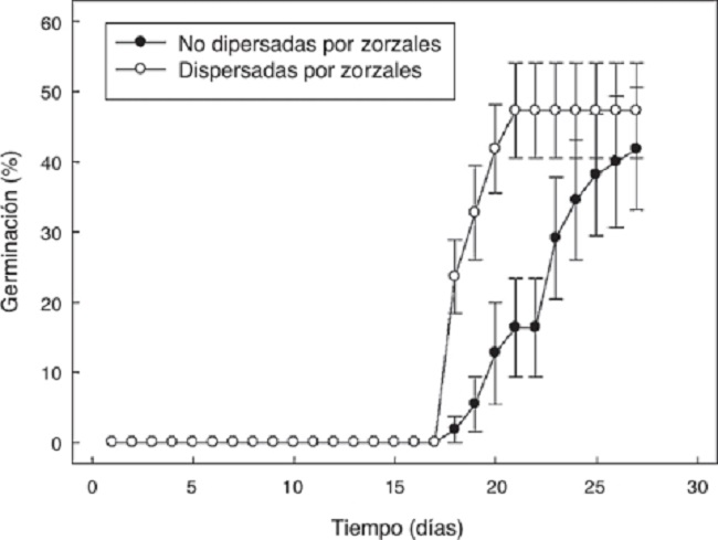 Efecto del consumo de frutos por Turdus falcklandii
sobre la tasa de germinación de semillas de Myrceugeia
planipes en el bosque templado austral de Sudamérica. La media
± 1ee es representada para cada día.