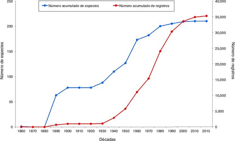 N&uacute;mero acumulado de especies y n&uacute;mero acumulado de registros de mam&iacute;feros terrestres en el estado de Chiapas, a partir de la primera d&eacute;cada de recolecta.
