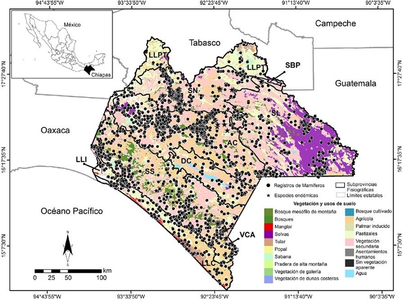 Localizaci&oacute;n de los mam&iacute;feros terrestres registrados en el estado de Chiapas, por subprovincia fisiogr&aacute;fica (ver nombres y acr&oacute;nimos en la Fig. 2) y uso de suelo y vegetaci&oacute;n.AG: agr&iacute;cola; AH: asentamientos humanos; BM: bosque mes&oacute;filo de monta&ntilde;a; BQ: bosques (pino, encino, cedro, oyamel y sus asociaciones); CA: cuerpos de agua; MG: manglar; PM: praderas de monta&ntilde;a; PZ: pastizales; SA: sabana; SE: selvas (altas, medianas y bajas, perennifolias, subperennifolias, caducifolias); SV: sin vegetaci&oacute;n aparente; TU: tulares; VG: vegetaci&oacute;n de galer&iacute;a; VS: vegetaci&oacute;n secundaria.