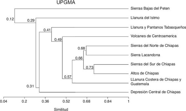 Dendrograma de similitud entre subprovincias fisiogr&aacute;ficas de Chiapas, elaborado con un an&aacute;lisis de agrupamiento por el m&eacute;todo UPGMA, mediante el coeficiente de Jaccard.