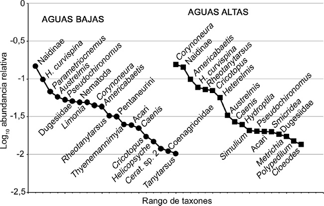 Curvas de rango abundancia del ensamble de macroinvertebrados fitófilos en arroyos de cabecera en pastizales de altura durante los períodos de aguas altas y aguas bajas.
