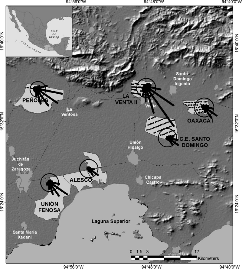Monitoring sites where we collected radar and point count data (gray polygons). Sites with black dots (wind turbines) were operational wind farms at the time of our observations, sites without dots were being proposed for development. Black circles represent the 1.5 km radius of radar range used during our observations, and black bars radiating from the center of the circles are the flight directions recorded from each site; bar length indicates the amount of data for each site. Data was pooled for sites that were monitored multiple years. The inset shows the state of Oaxaca in southern Mexico in light gray, and the Pacific side of the Isthmus of Tehuantepec enclosed by a black rectangle.