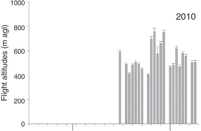 Mean flight altitude by night (+1 SE), recorded from different monitoring sites on the Pacific side of the Isthmus of Tehuantepec, Oaxaca, Mexico during five fall seasons.