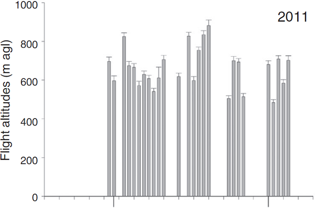 Mean flight altitude by night (+1 SE), recorded from different monitoring sites on the Pacific side of the Isthmus of Tehuantepec, Oaxaca, Mexico during five fall seasons.