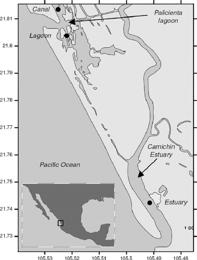 Location of the sampling sites in Camichin estuary and Palicienta lagoon, Nayarit, Mexico.