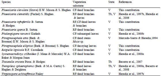 Synnematous species registered from Mexico.