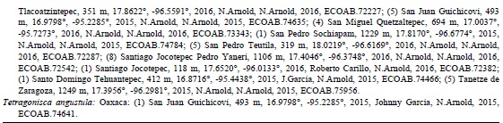 Nuevos registros de especies de abejas sin agujón para Chiapas y Oaxaca y las localidades en las que han sido colectadas. Se presenta lo siguiente: estado; entre paréntesis número de ejemplares; municipio y/o localidad, altitud; coordenadas; año de colecta; colector; autor de la identificación, año de determinación taxonómica, Núm. del primer ejemplar (de la serie).
