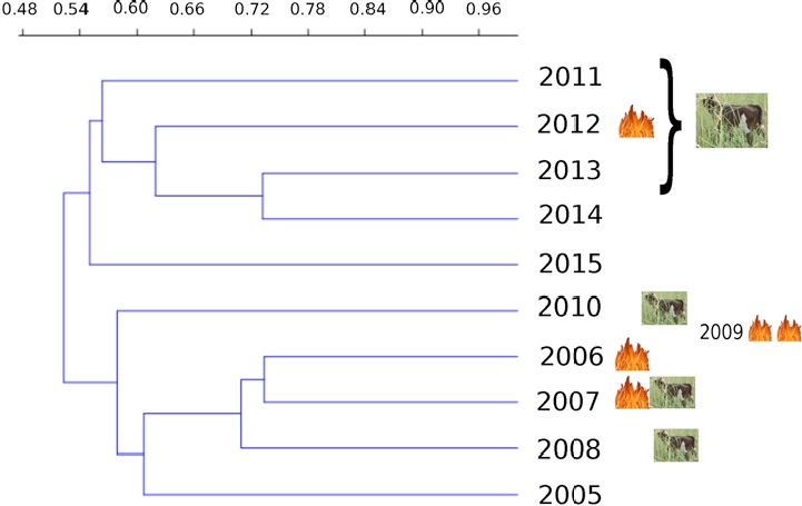Cluster analysis dendrogram for plant communities during the sampling years.