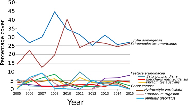 Relative abundance of the main hydrophytes of La Mintzita during the study period.